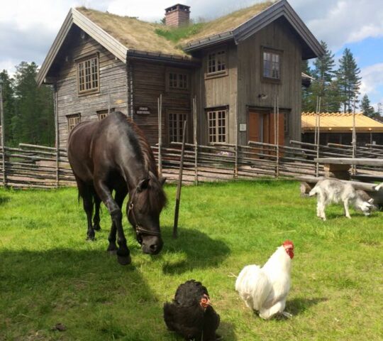 Lindvallens Fäboden